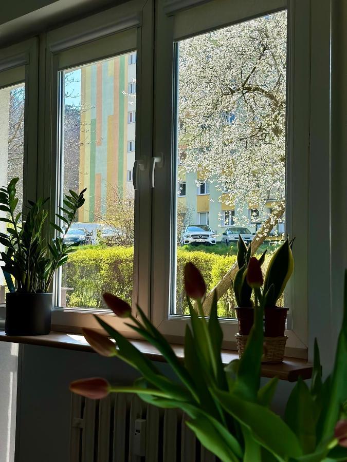 Uroczy Apartament - Sopot Bagian luar foto